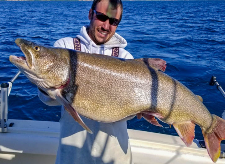 Discover Lake Michigan's Bounty with Silver King Charters - Milwaukee, Wisconsin