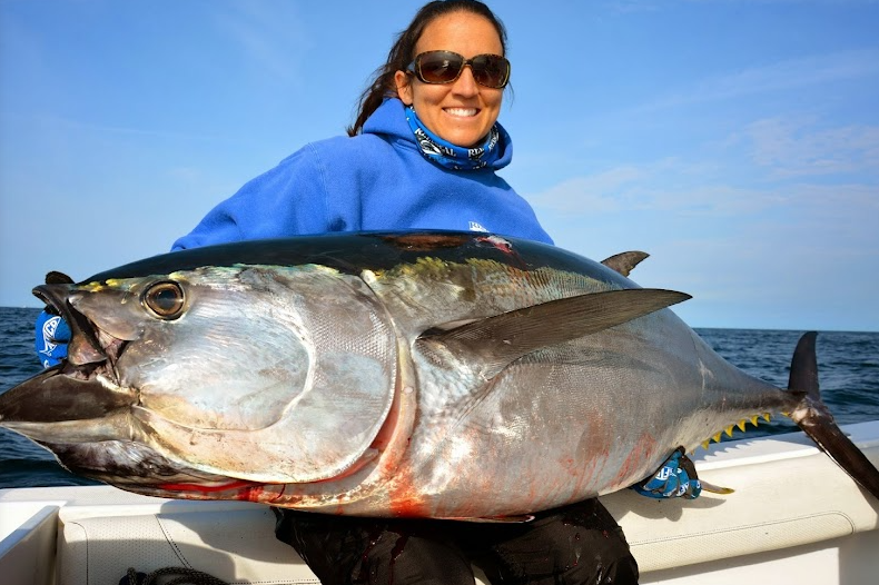 New England Sea Life Adventures with Reel Deal Fishing Charters - Truro, Massachusetts